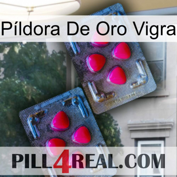 Píldora De Oro Vigra 14.jpg